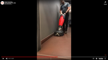 Vorschaubild zum Video Mira 40 Bodenreinigungsmaschine von Stangl randnahe und besonders flexible Reinigung.