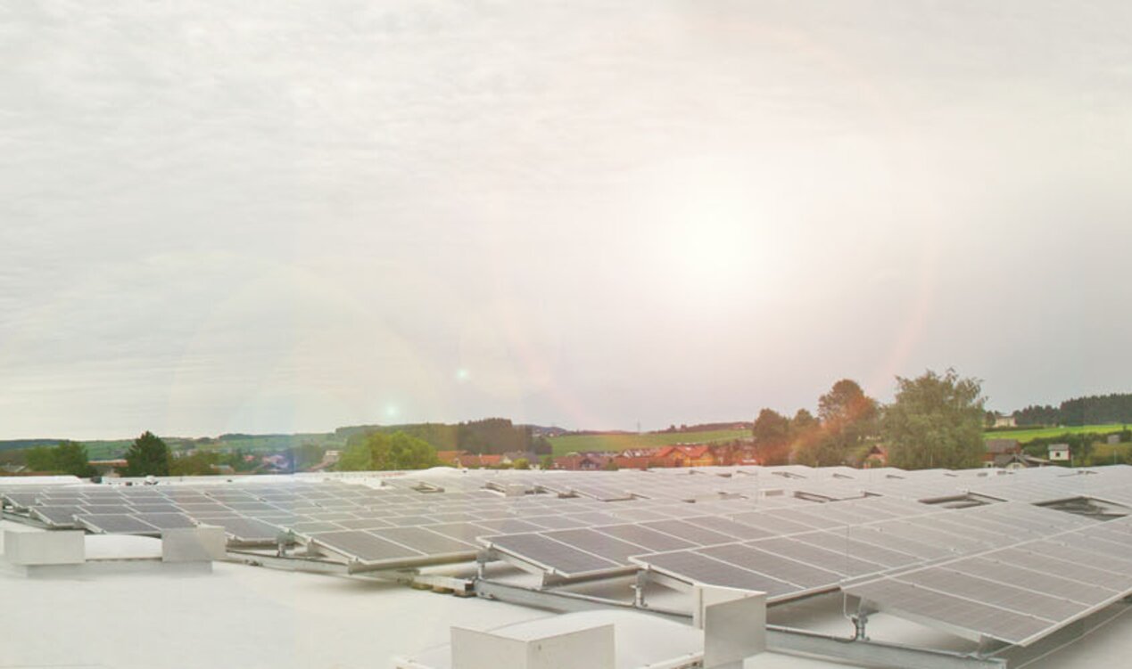 Photovoltaik bei Stangl Straßwalchen spart 50 Tonnen CO2 im Jahr